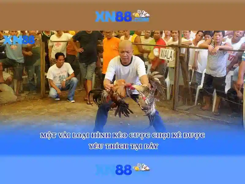 💎hp zbook ssd slots💎 💎hp zbook ssd slots💎