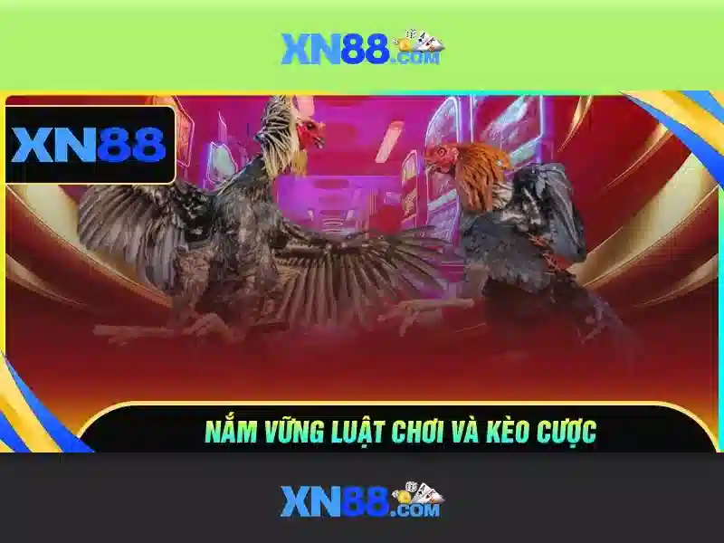 sòng bạc trực tuyến - xn88 sòng bạc trực tuyến - xn88