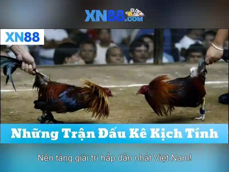 💎kèo nhà cái trận atletico madrid💎 💎kèo nhà cái trận atletico madrid💎