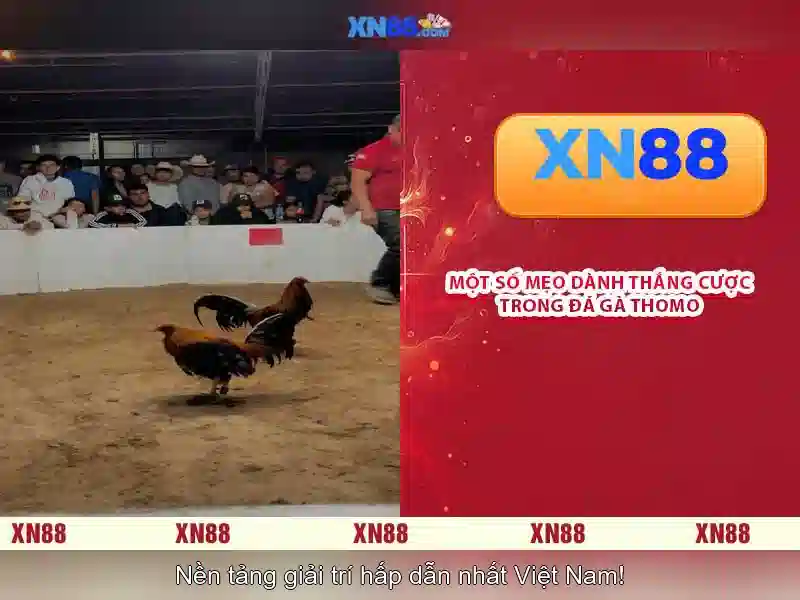 💎massive studios slots💎 💎massive studios slots💎